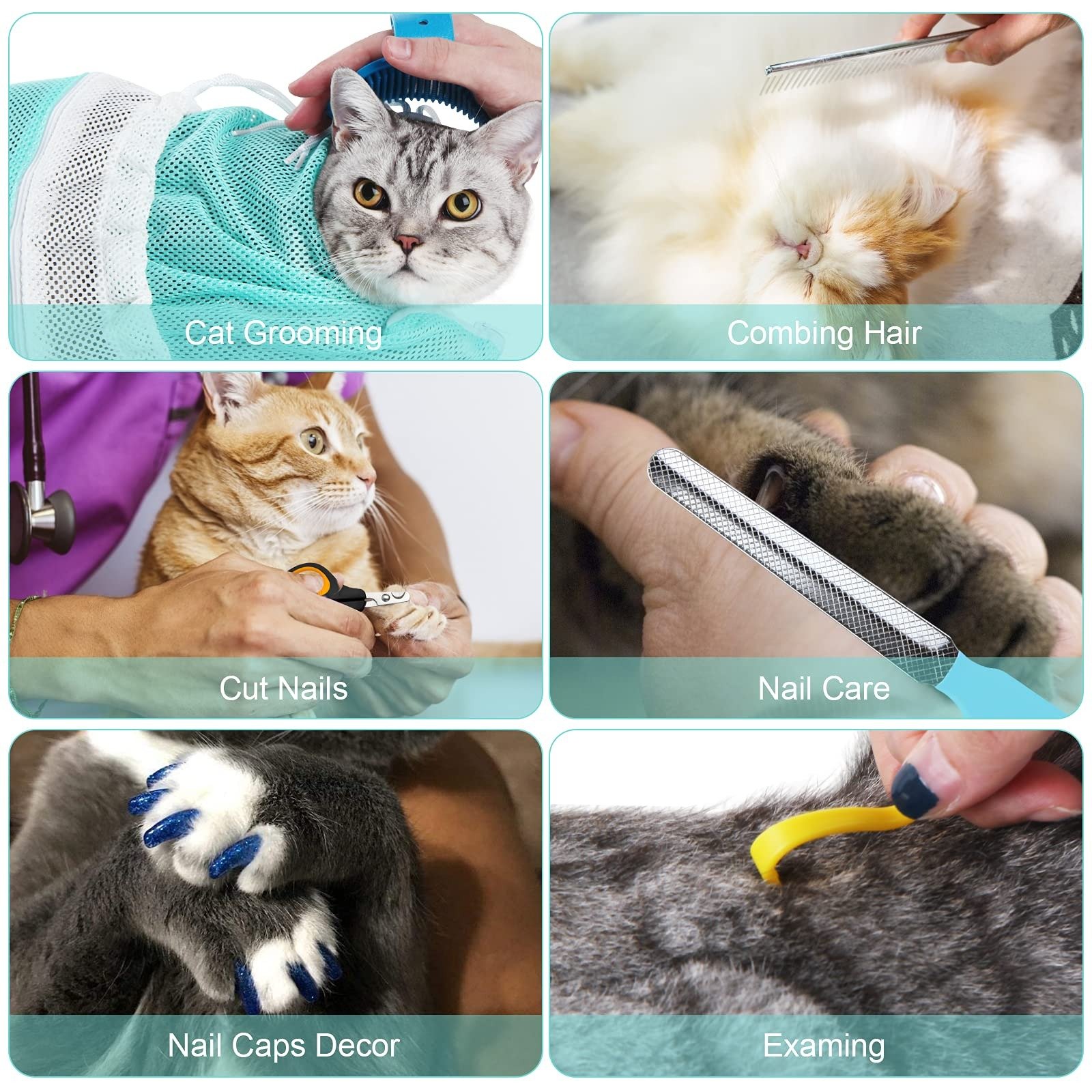 Pet Grooming (Bathing, trimming, nail care)